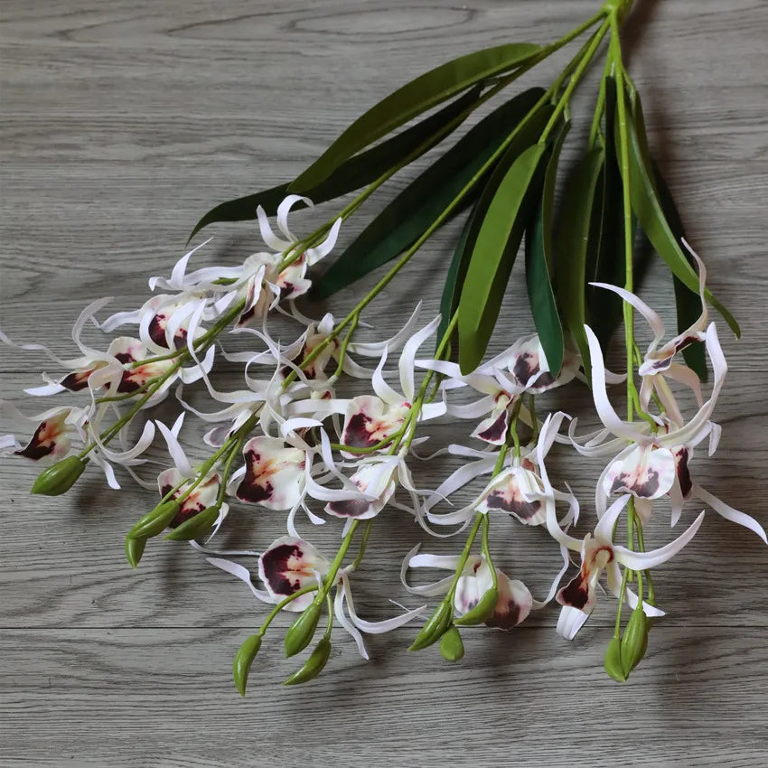 Fleurs d'orchidées araignées Phalaenopsis en soie