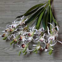 Fleurs d'orchidées araignées Phalaenopsis en soie