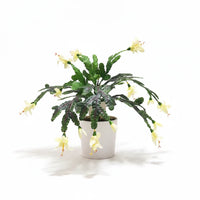 Fleurs artificielles imitation pince de crabe