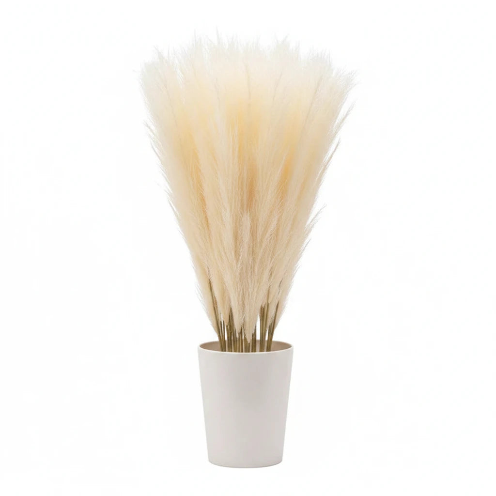 10 Herbes artificielles de la pampa