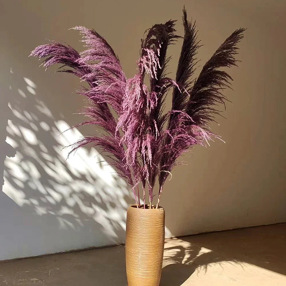 Plume d'herbe de la pampa séchée de grande taille