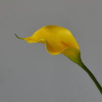 10 fleurs artificielles lys