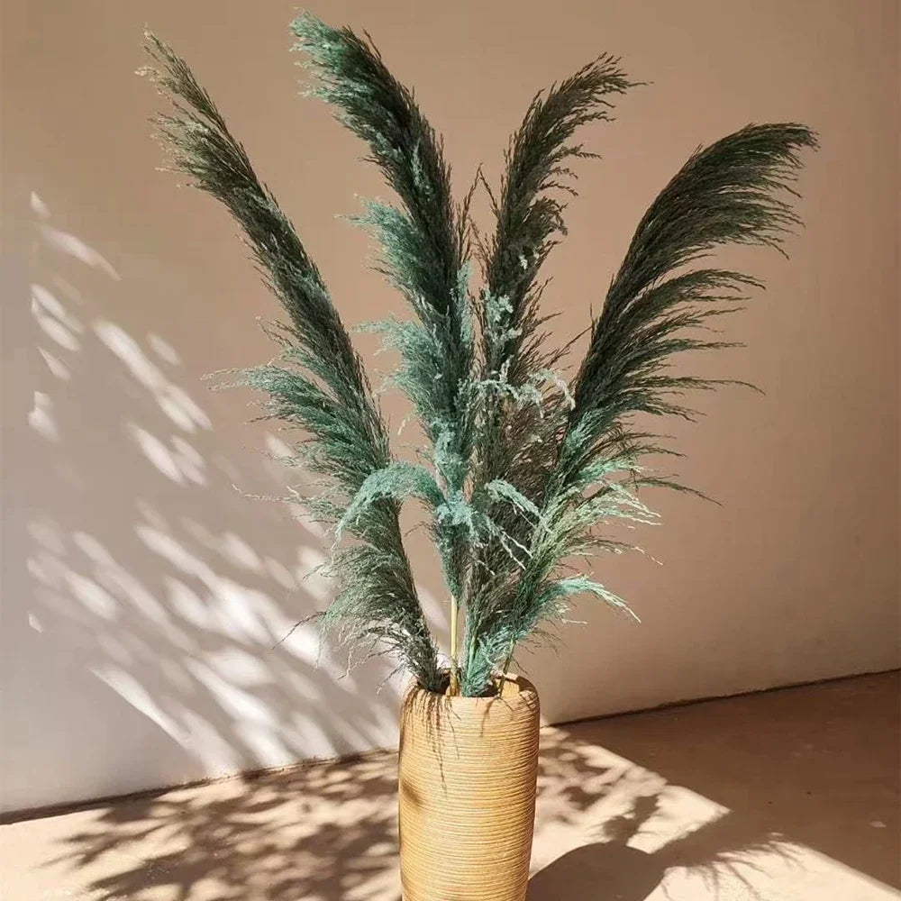 Plume d'herbe de la pampa séchée de grande taille