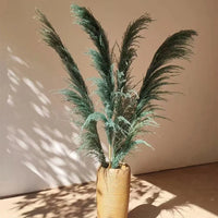 Plume d'herbe de la pampa séchée de grande taille