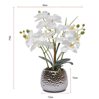 Orchidée Phalaenopsis artificielle en pot