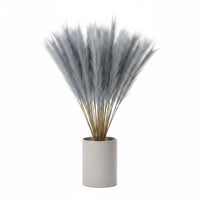 10 Herbes artificielles de la pampa