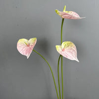 Fleurs artificielles anthuriums