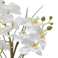 Orchidée Phalaenopsis artificielle en pot