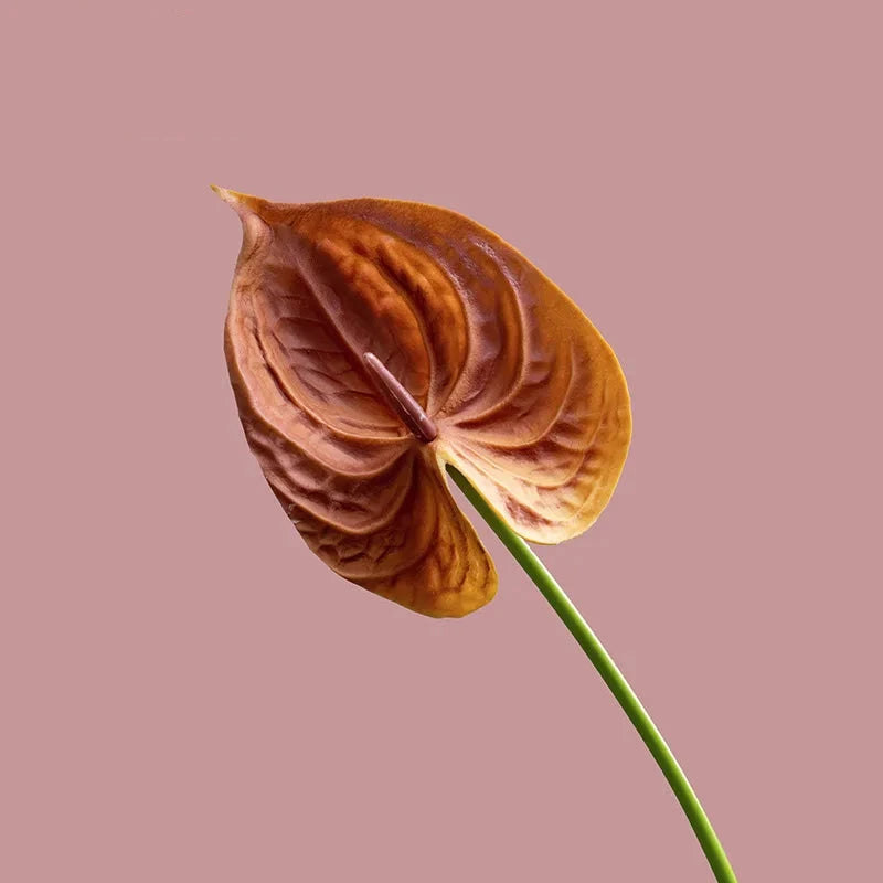 Fleurs artificielles anthuriums élégante