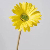 Lot de 5 ou 10 fleurs artificielles gerberas