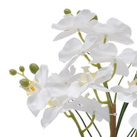 Orchidée Phalaenopsis artificielle en pot