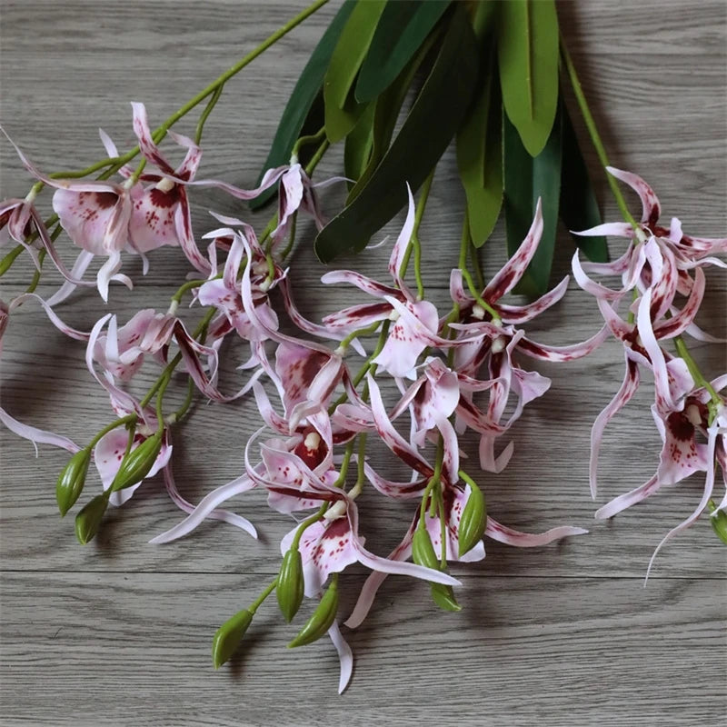 Fleurs d'orchidées araignées Phalaenopsis en soie
