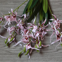Fleurs d'orchidées araignées Phalaenopsis en soie