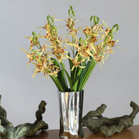 Fleurs d'orchidées araignées Phalaenopsis en soie