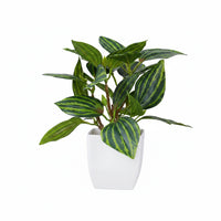 Plantes vertes artificielles en pot pour bureau