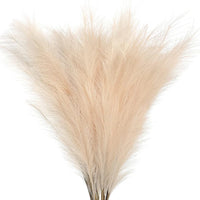 Plumes de pampas naturelles artificielles