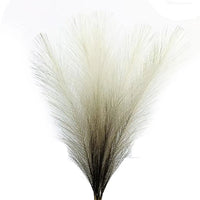Plumes de pampas naturelles artificielles