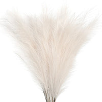 Plumes de pampas naturelles artificielles
