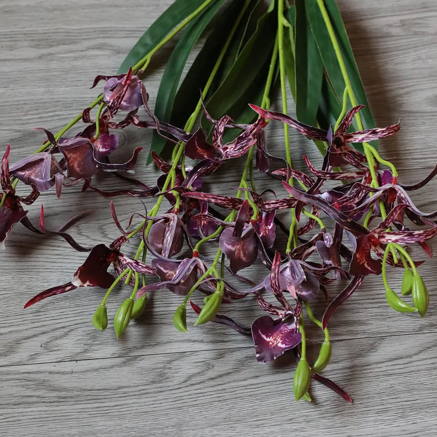 Fleurs d'orchidées araignées Phalaenopsis en soie