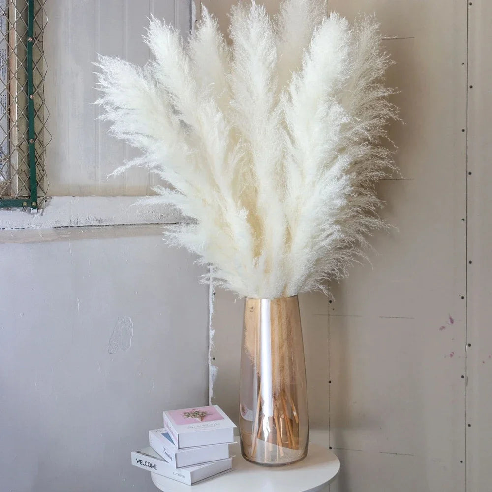 Plume d'herbe de la pampa séchée de grande taille
