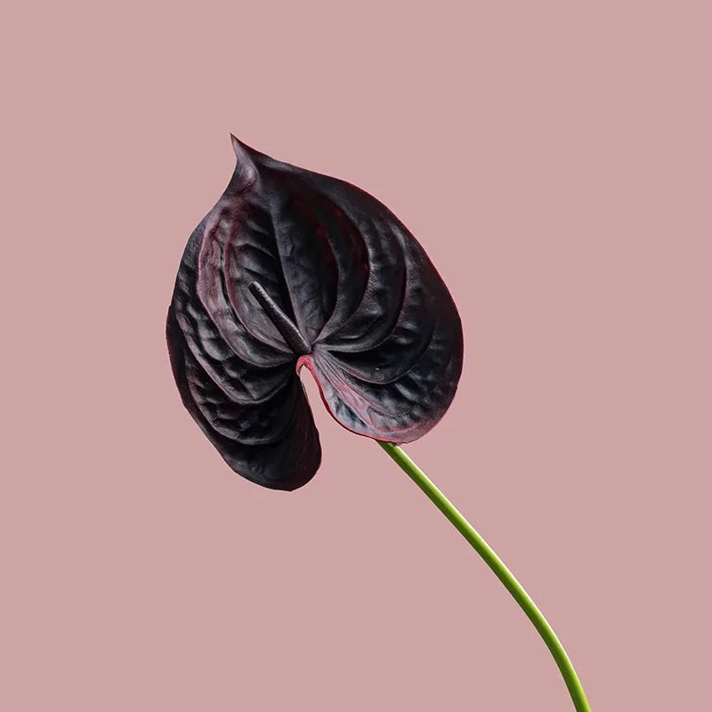 Fleurs artificielles anthuriums élégante