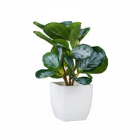 Plantes vertes artificielles en pot pour bureau