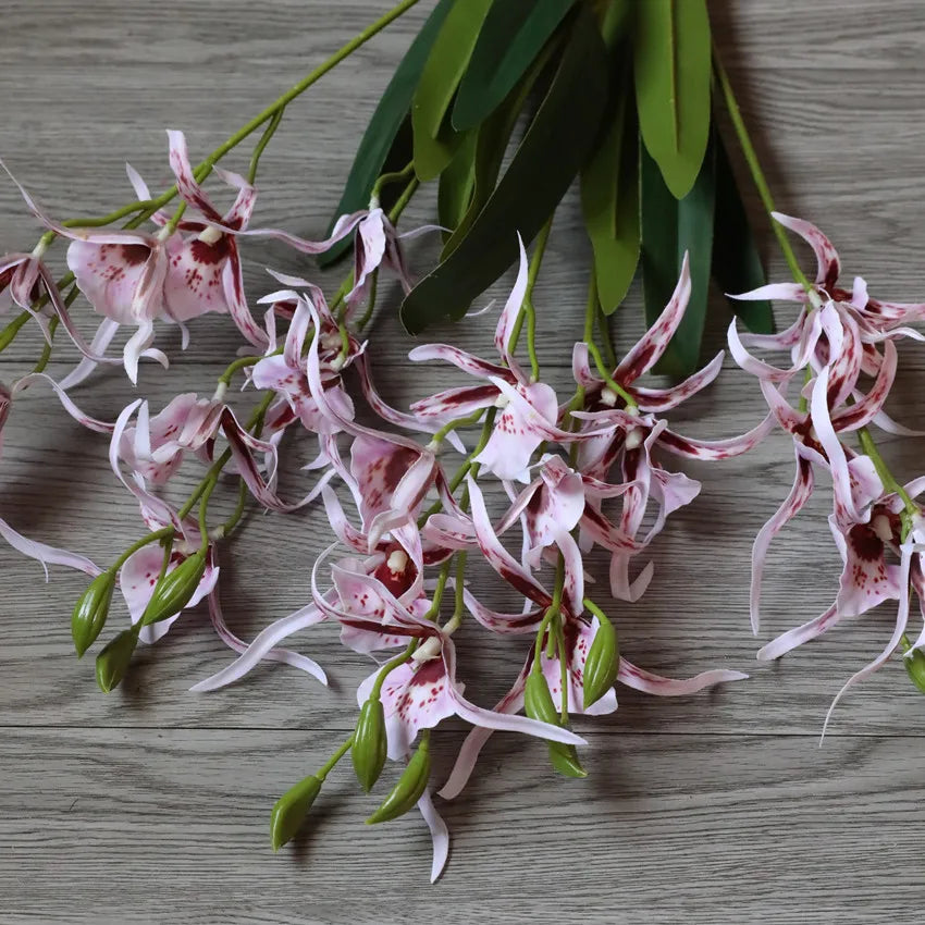 Fleurs d'orchidées araignées Phalaenopsis en soie