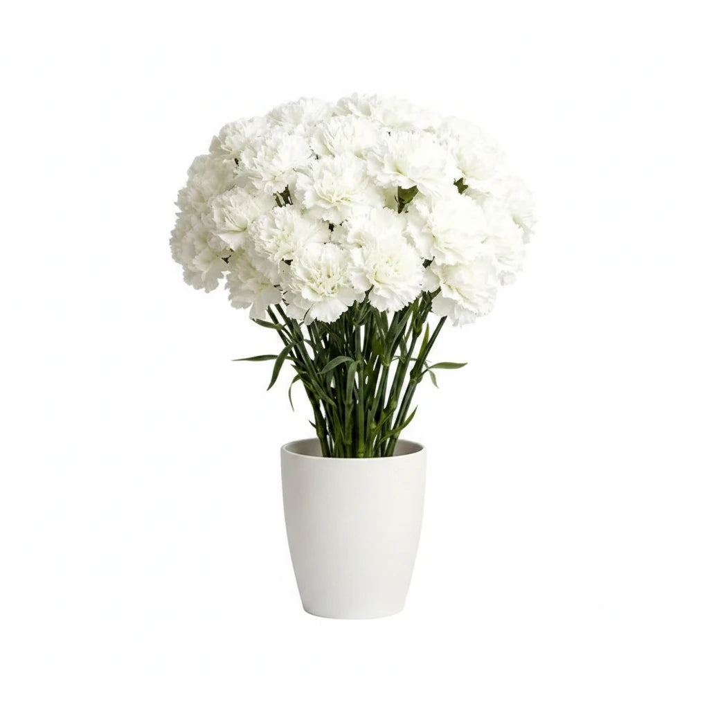Bouquet de 10 œillets blancs artificiels pour la décoration
