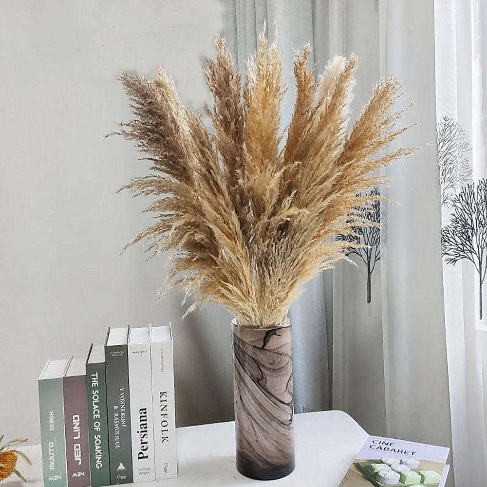 Plume d'herbe de la pampa séchée de grande taille