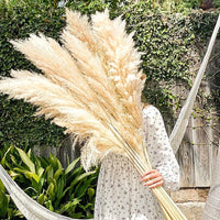 Plume d'herbe de la pampa séchée de grande taille