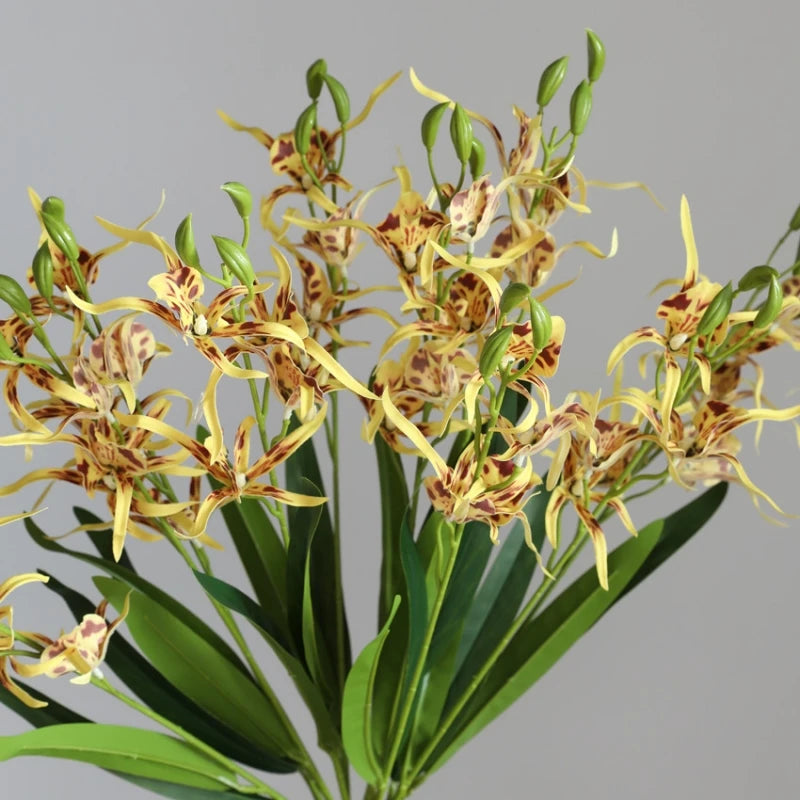 Fleurs d'orchidées araignées Phalaenopsis en soie
