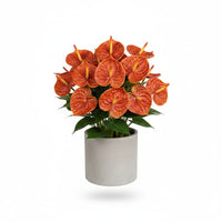 Fleurs artificielles anthuriums
