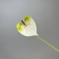 Fleurs artificielles anthuriums