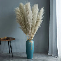 Plume d'herbe de la pampa séchée de grande taille