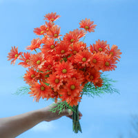 Bouquet de petites marguerites décoration