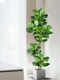 Grand ficus artificiel de 70 à 135 cm