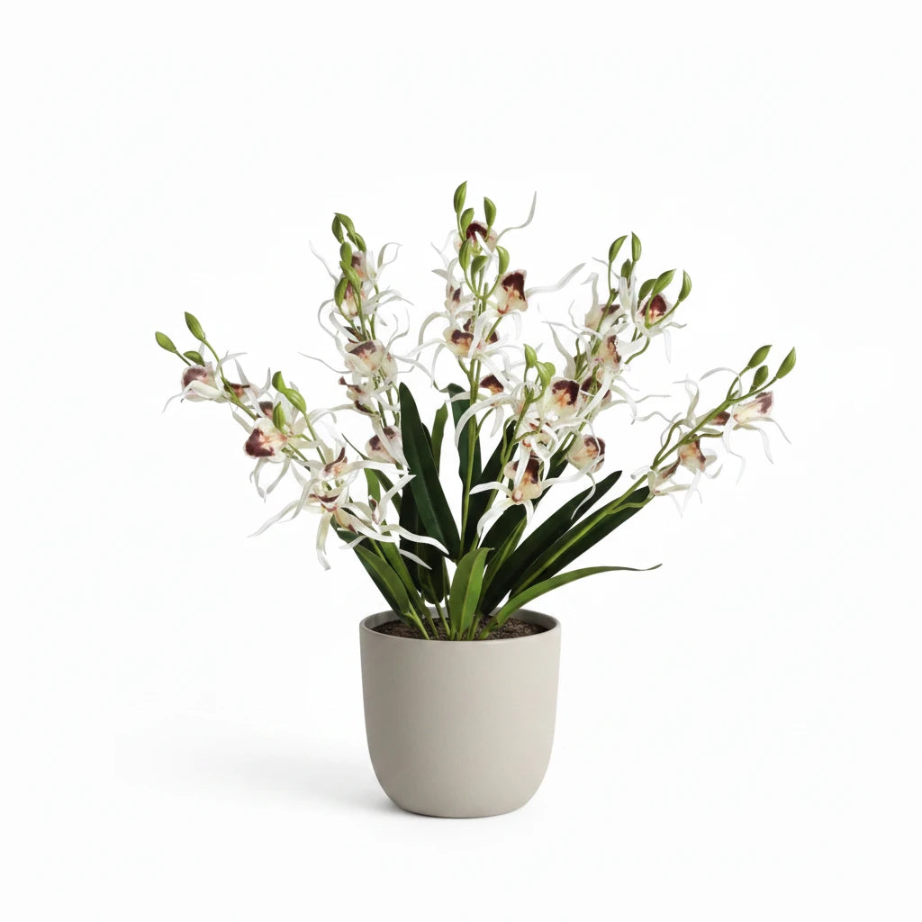 Fleurs d'orchidées araignées Phalaenopsis en soie