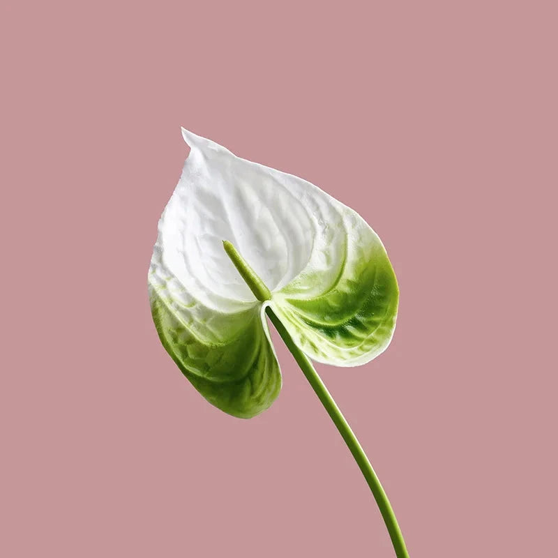 Fleurs artificielles anthuriums élégante