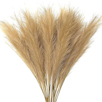 Plumes de pampas naturelles artificielles