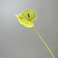 Fleurs artificielles anthuriums