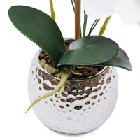 Orchidée Phalaenopsis artificielle en pot