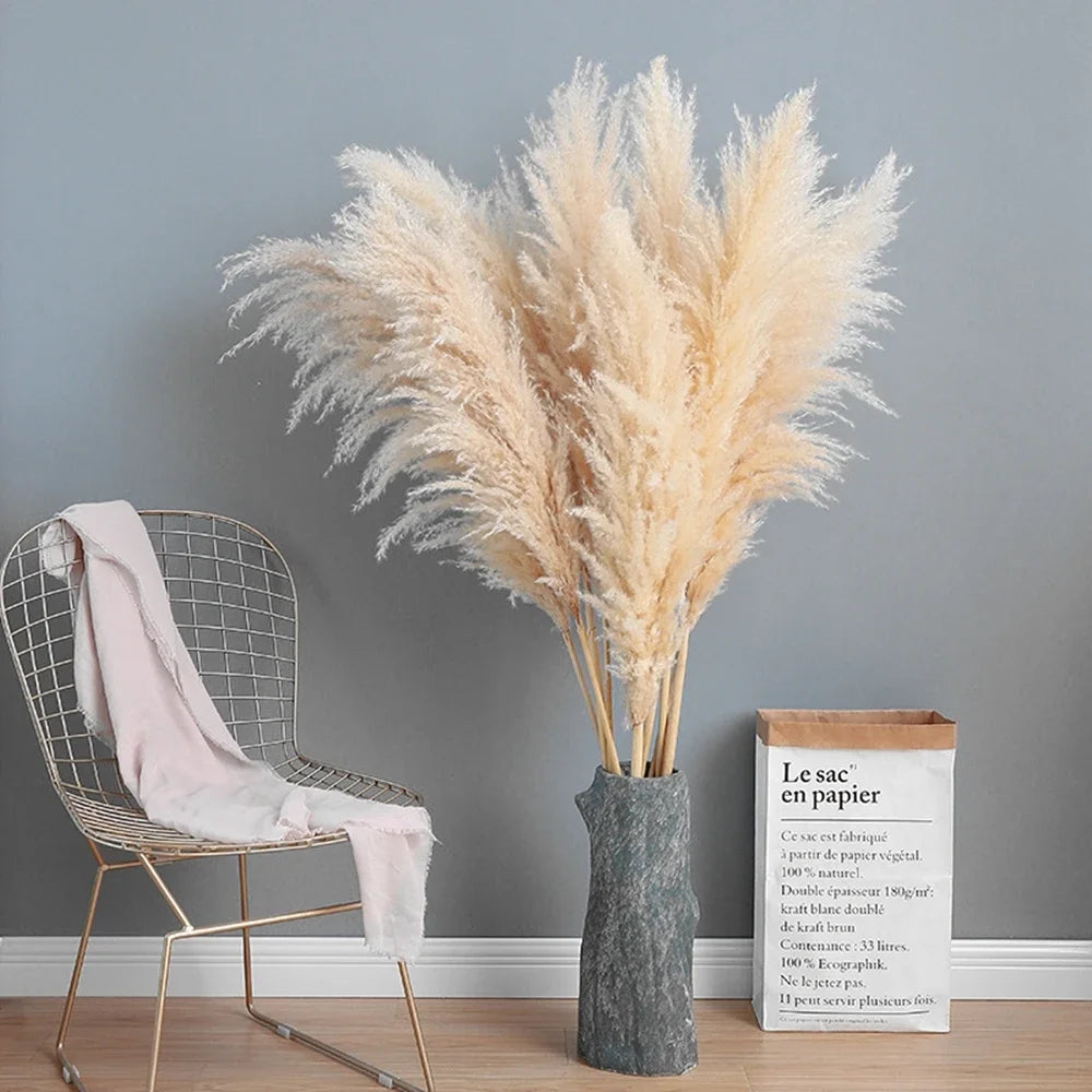 Plume d'herbe de la pampa séchée de grande taille