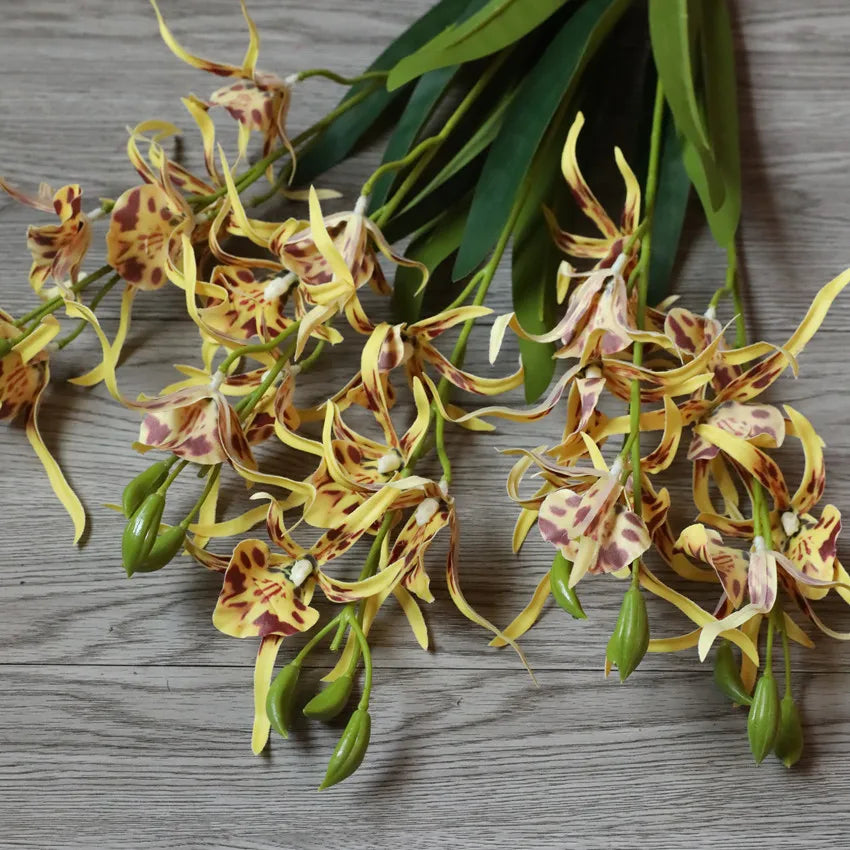 Fleurs d'orchidées araignées Phalaenopsis en soie